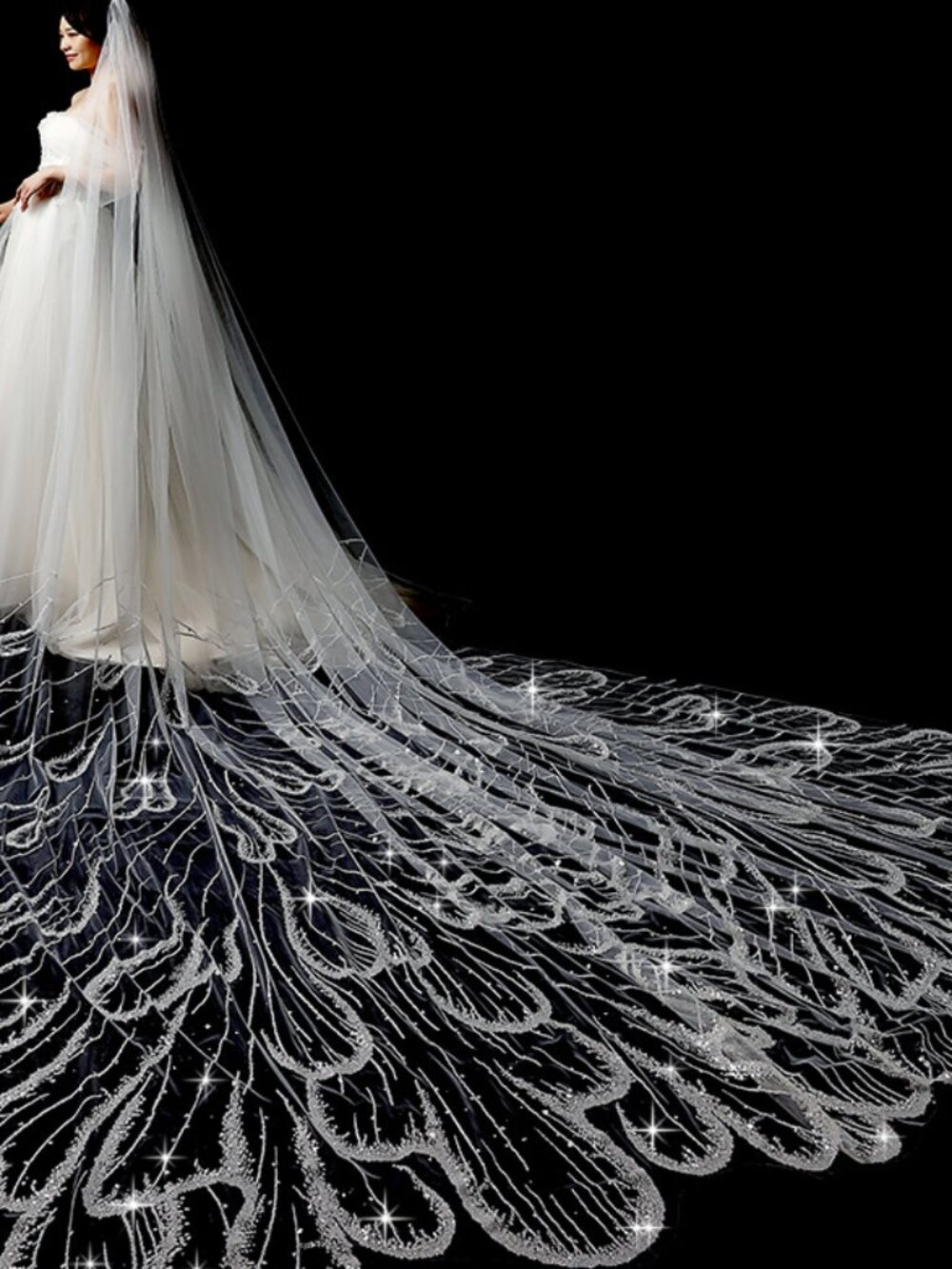 Regal Cathedral Length Bridal Veil 3.5m
